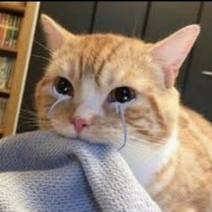 Meet your Posher, Nahomi